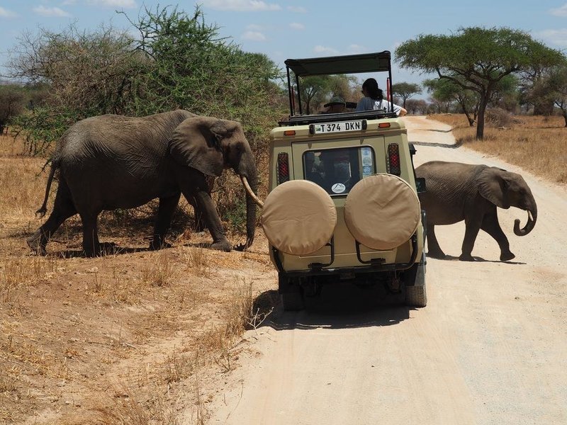 4 days Tanzania safari