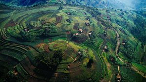uganda rwanda safari