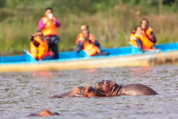 Lake Naivasha boat tour