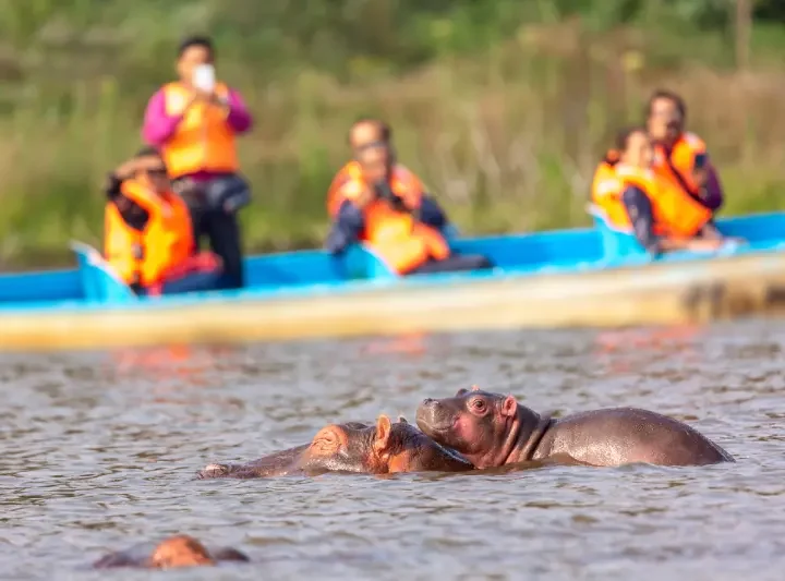 Lake Naivasha boat tour