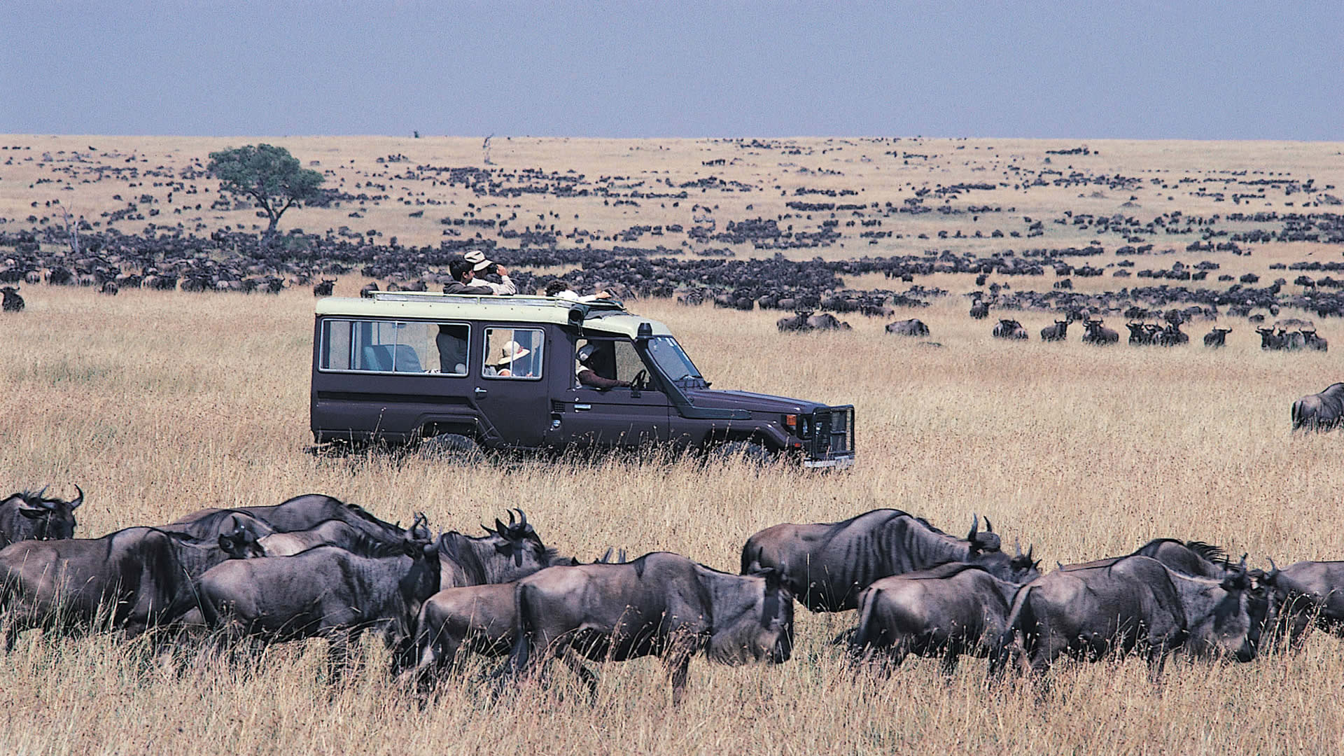 6 days Kenya Tanzania Safari, East Africa Lodge Safari