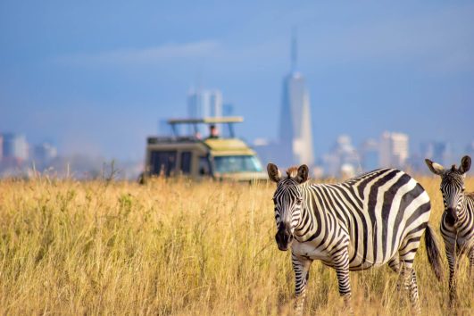 Nairobi national Park Safari