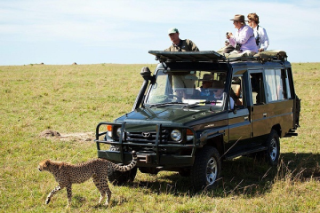 Maasai Mara Safari