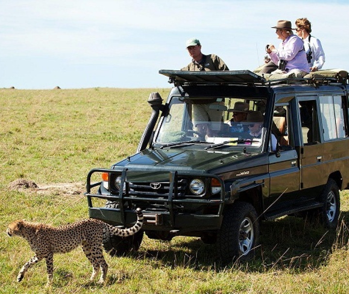 Maasai Mara Safari