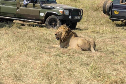 Maasai Mara Safari