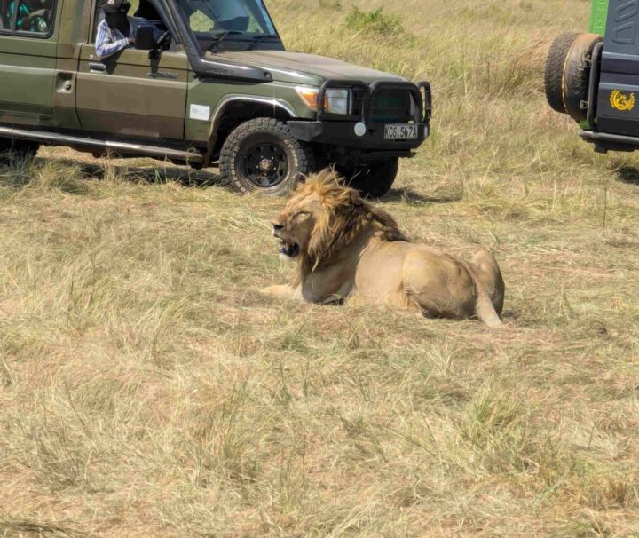 Maasai Mara Safari