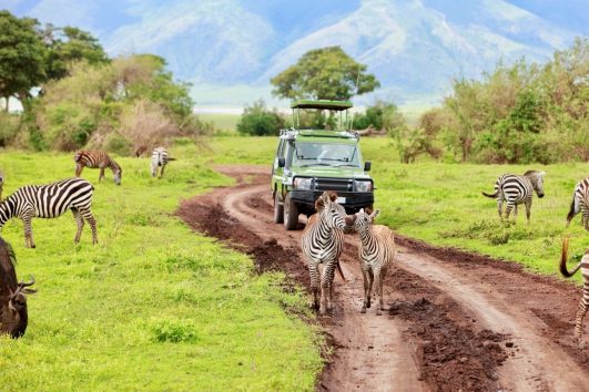 Ngorongoro safari