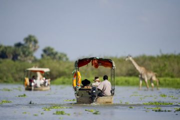 Selous safari