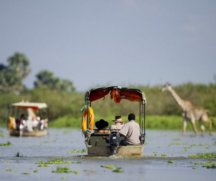 Selous safari