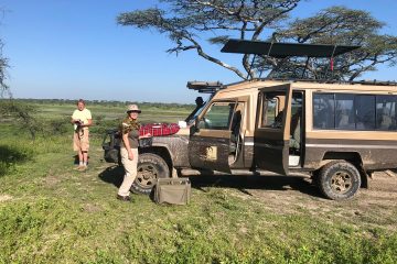 Tanzania luxury safari