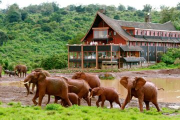 Aberdare National Park safari