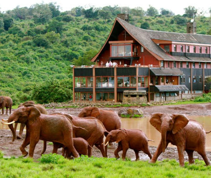 Aberdare National Park safari