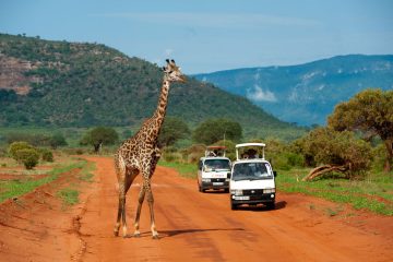 Tsavo East Safari