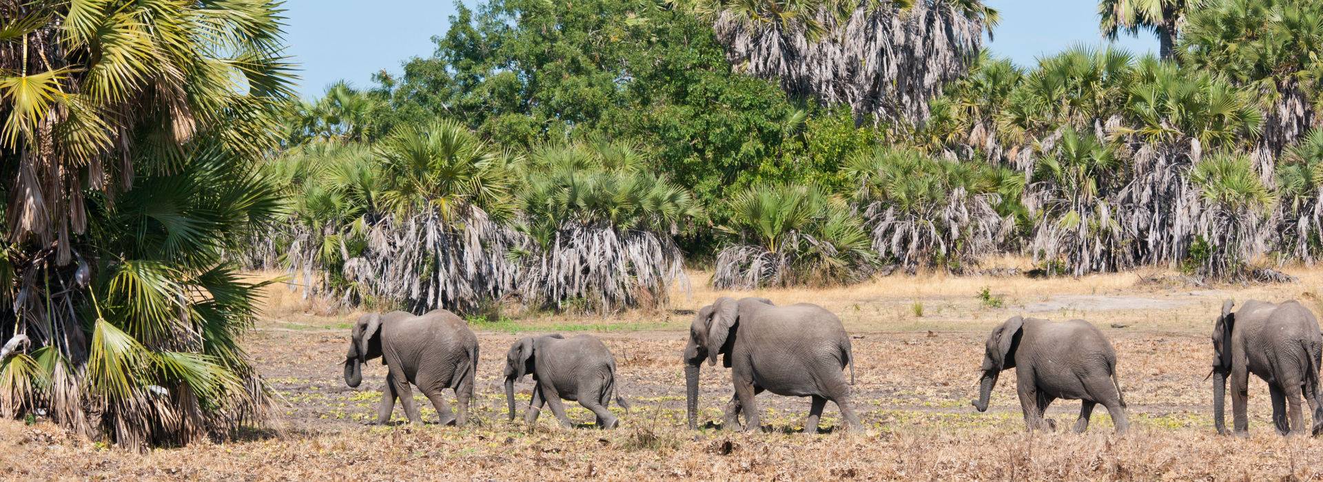 Selous Game Reserve