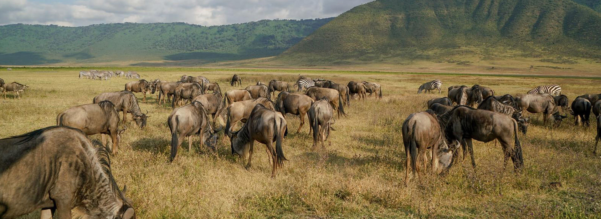 Serengeti National Park