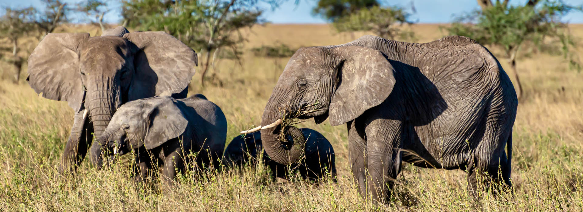 Kidepo Valley National Park