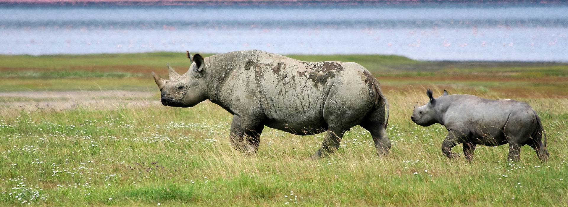 Ngorongoro Crater