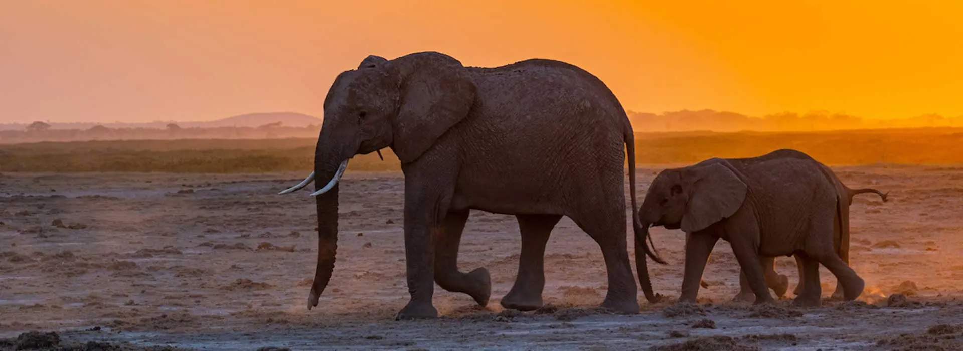 Amboseli National Park