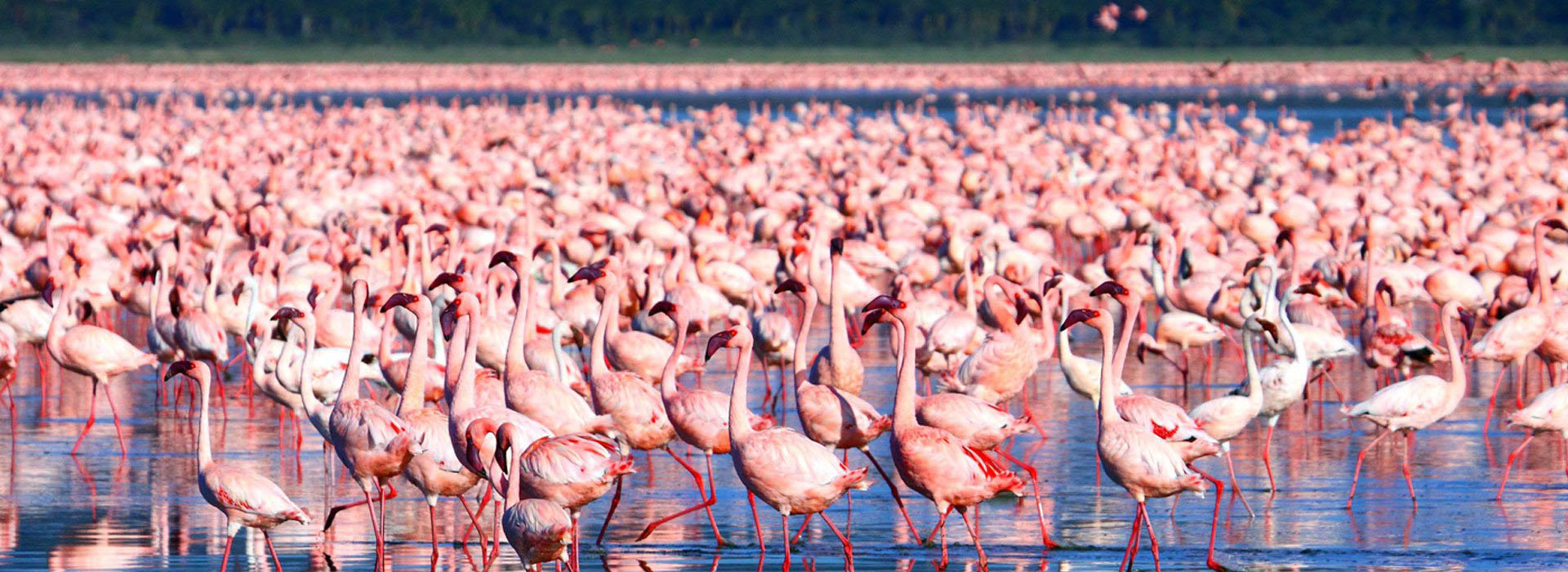 Lake Nakuru National Park