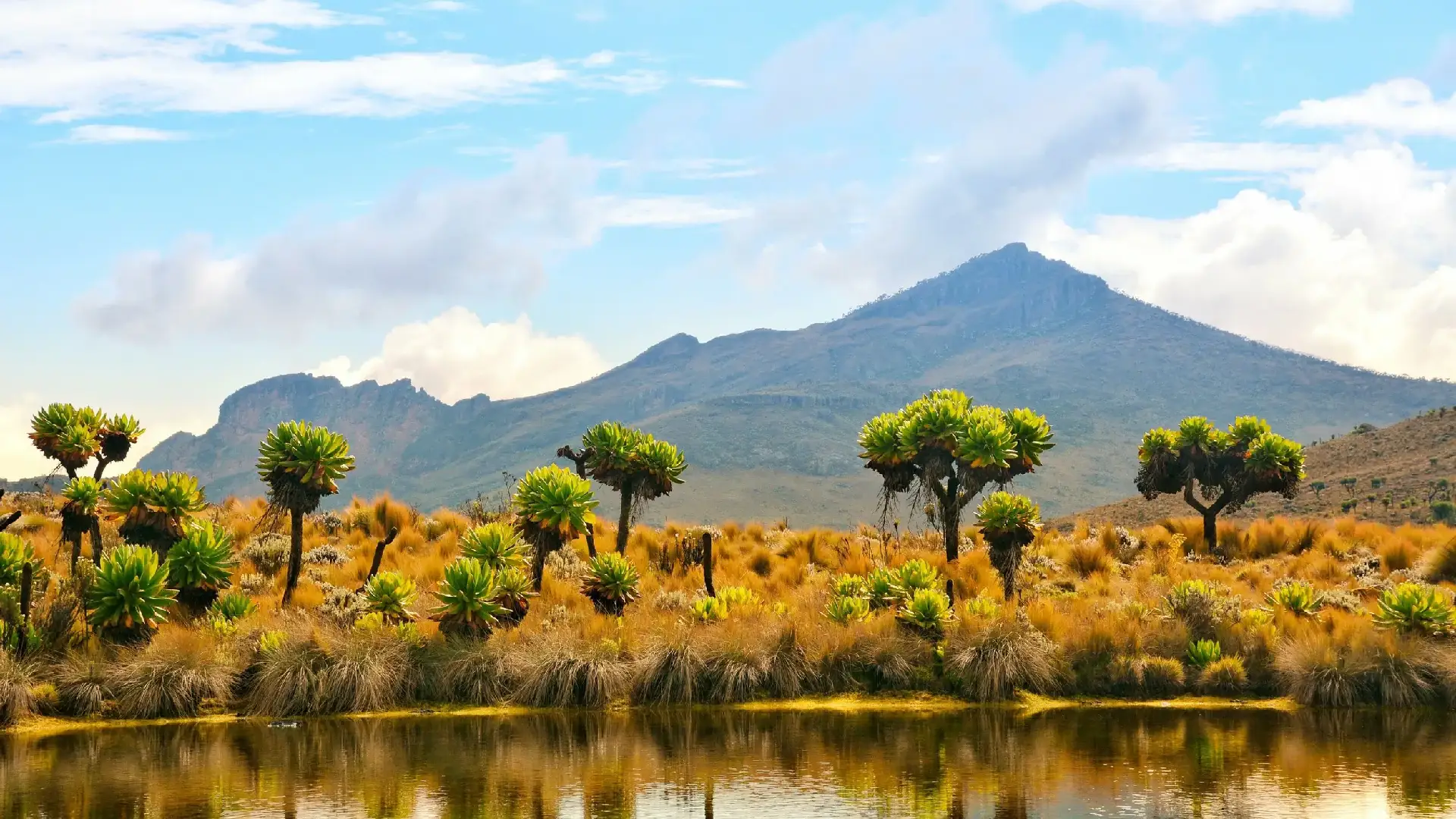 Mount Elgon National Park, Kenya