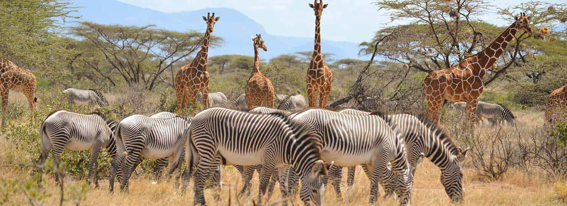 Samburu Game Reserve