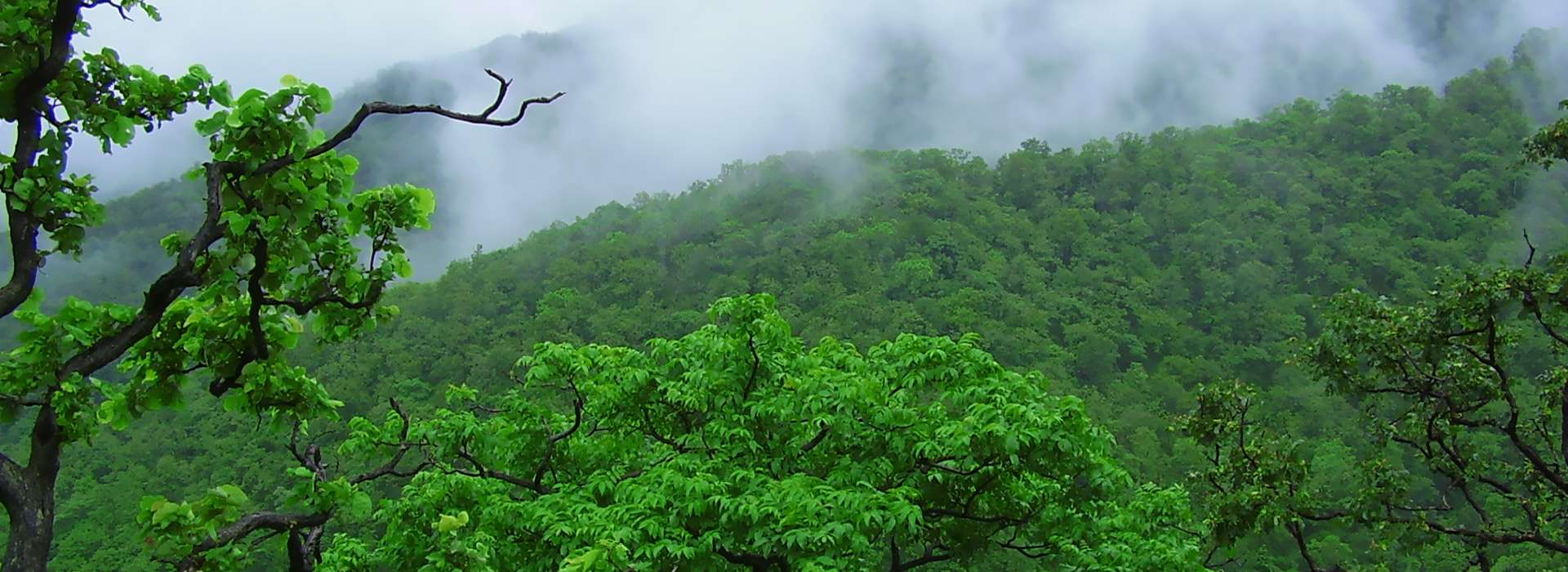 Udzungwa Mountains National Park