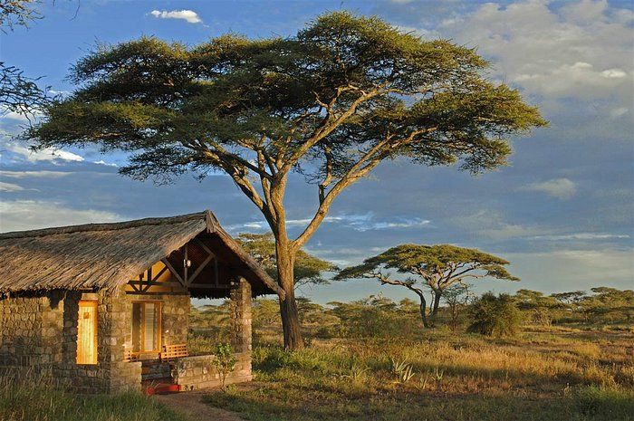 Ndutu Safari Lodge