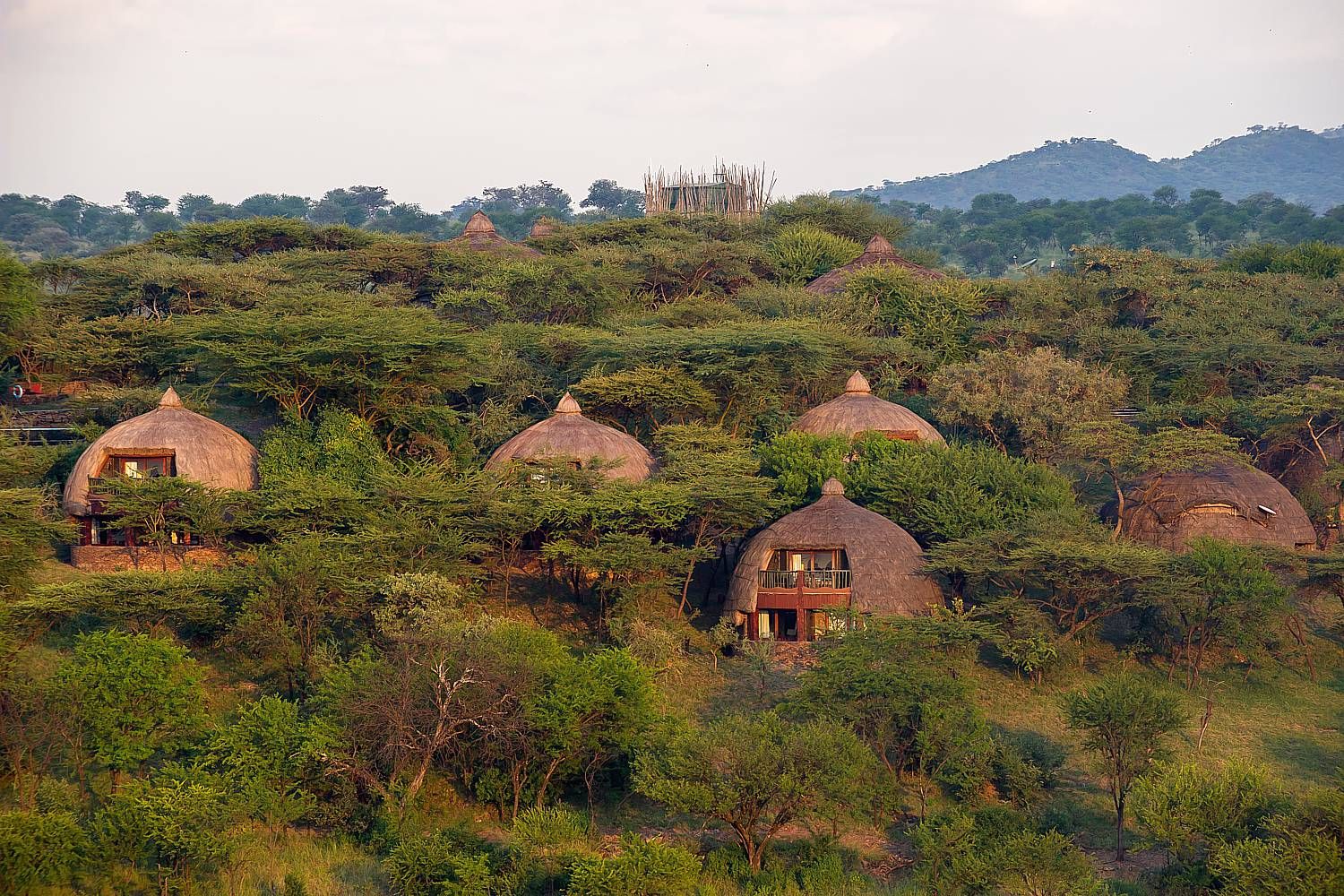 Serengeti Serena Safari Lodge